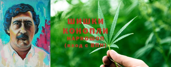 spice Каменногорск
