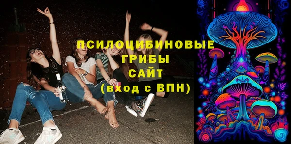 ПСИЛОЦИБИНОВЫЕ ГРИБЫ Каменка