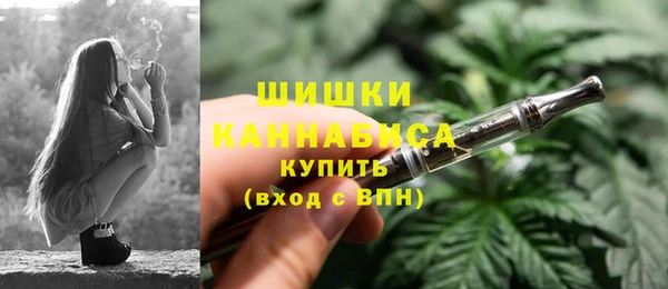 ПСИЛОЦИБИНОВЫЕ ГРИБЫ Каменка