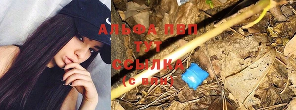 хмурый Каменск-Шахтинский