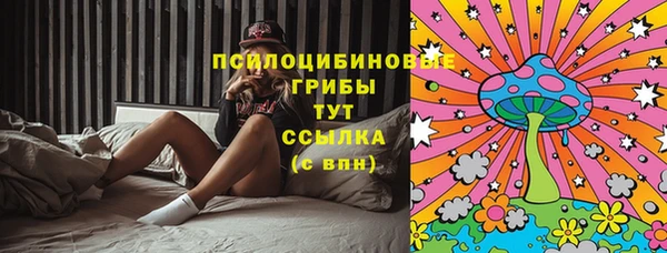 ПСИЛОЦИБИНОВЫЕ ГРИБЫ Каменка