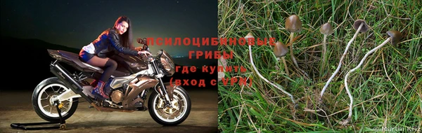 дистиллят марихуана Кинешма