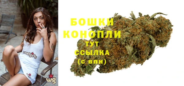 spice Каменногорск