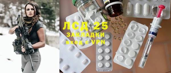 ПСИЛОЦИБИНОВЫЕ ГРИБЫ Каменка