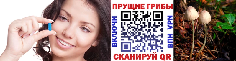 Галлюциногенные грибы Cubensis  Кировград 